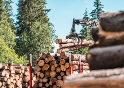 timber-truck-logging-forestry-operations-picjumbo-com